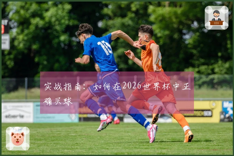 实战指南：如何在2026世界杯中正确买球