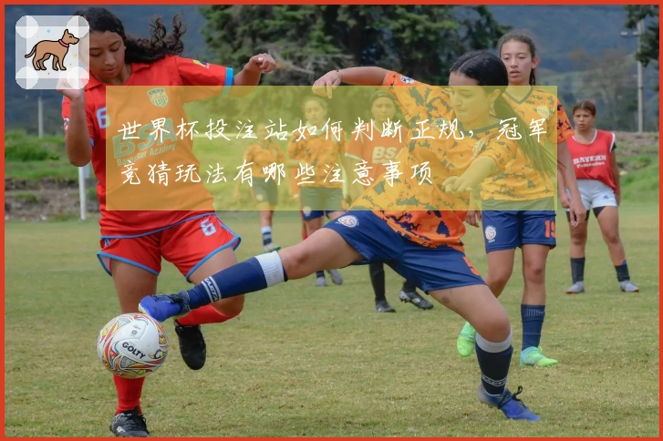 世界杯投注站如何判断正规，冠军竞猜玩法有哪些注意事项