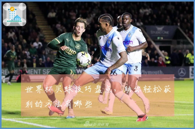世界杯买球技巧盘点，助你轻松获利的方法有哪些