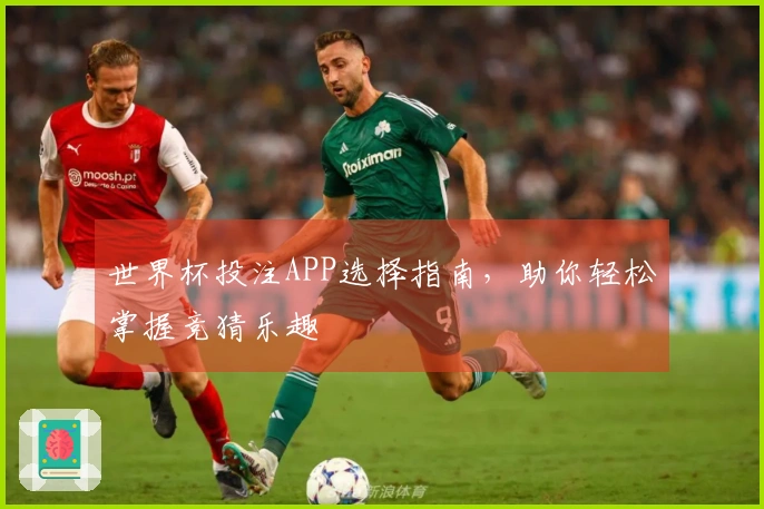 世界杯投注APP选择指南，助你轻松掌握竞猜乐趣