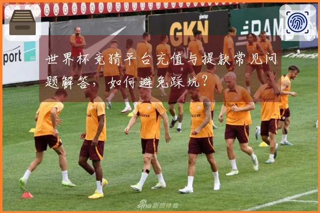 世界杯竞猜平台充值与提款常见问题解答，如何避免踩坑？